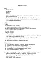 Konspekts 'Fizioloģijas pamati - nervu un asins sistēmas', 12.