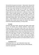 Referāts 'Cilvēka attīstības posmi', 10.