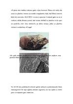 Konspekts 'Dzīvība kosmosā', 5.