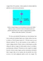 Konspekts 'Dzīvība kosmosā', 10.