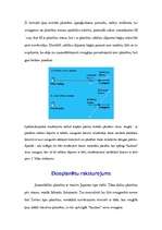 Konspekts 'Dzīvība kosmosā', 13.