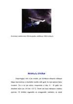 Konspekts 'Dzīvība kosmosā', 19.