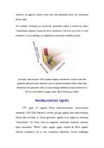 Konspekts 'Dzīvība kosmosā', 30.