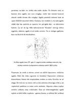 Konspekts 'Dzīvība kosmosā', 31.