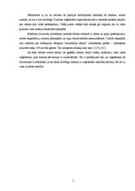 Referāts 'Veģetārisms kā dzīvesveids', 11.