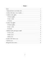 Referāts 'Lietišķa cilvēka ārējais izskats un ģērbšanās stils', 2.