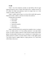 Referāts 'Lietišķa cilvēka ārējais izskats un ģērbšanās stils', 3.