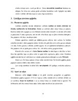 Referāts 'Lietišķa cilvēka ārējais izskats un ģērbšanās stils', 6.