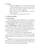 Referāts 'Lietišķa cilvēka ārējais izskats un ģērbšanās stils', 7.