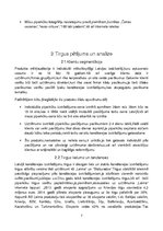 Biznesa plāns 'SIA "Piparkūka"', 7.