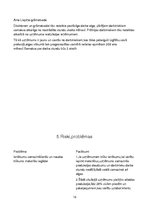 Biznesa plāns 'SIA "Piparkūka"', 13.