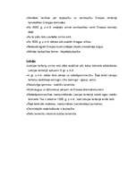 Konspekts 'Zemkopības un lopkopības attīstības iezīmes dažādās pasaules daļās (pāreja no sa', 2.