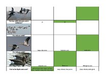 Konspekts 'Mednieku eksāmena teorijas jautājumu atbildes', 61.