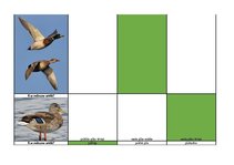Konspekts 'Mednieku eksāmena teorijas jautājumu atbildes', 64.
