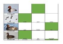 Konspekts 'Mednieku eksāmena teorijas jautājumu atbildes', 66.