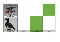 Konspekts 'Mednieku eksāmena teorijas jautājumu atbildes', 67.