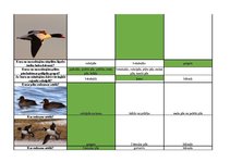 Konspekts 'Mednieku eksāmena teorijas jautājumu atbildes', 68.