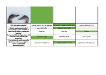 Konspekts 'Mednieku eksāmena teorijas jautājumu atbildes', 71.