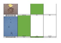 Konspekts 'Mednieku eksāmena teorijas jautājumu atbildes', 75.