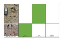Konspekts 'Mednieku eksāmena teorijas jautājumu atbildes', 76.