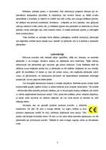 Referāts '"Sakret" rūpnīca', 8.