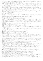 Konspekts 'Ētika', 4.