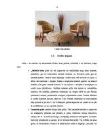 Prakses atskaite 'Dabiskie materiāli interjerā un to nozīme Sikšņu pamatskolas plānošanā', 12.