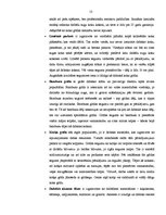 Prakses atskaite 'Dabiskie materiāli interjerā un to nozīme Sikšņu pamatskolas plānošanā', 13.