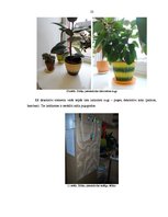 Prakses atskaite 'Dabiskie materiāli interjerā un to nozīme Sikšņu pamatskolas plānošanā', 23.