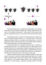 Referāts 'Valsts politiskās varas avoti', 13.