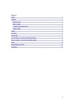 Referāts 'Jaunvārdi latviešu valodā 19.gadsimtā', 3.