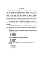 Referāts 'Jaunvārdi latviešu valodā 19.gadsimtā', 5.