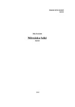 Referāts 'Brāļu Kaudzīšu romāna "Mērnieku laiki" analīze', 1.