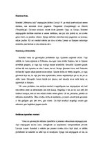 Referāts 'Brāļu Kaudzīšu romāna "Mērnieku laiki" analīze', 3.