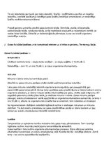 Konspekts 'Gaisa seminārs', 2.