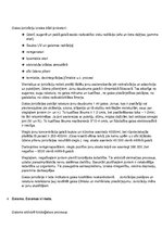 Konspekts 'Gaisa seminārs', 4.