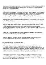 Konspekts 'Gaisa seminārs', 13.