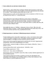 Konspekts 'Gaisa seminārs', 15.