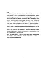 Referāts 'Reliģija un sabiedrība. Islāms', 3.