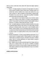 Referāts 'Reliģija un sabiedrība. Islāms', 9.