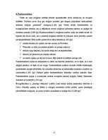 Referāts 'Reliģija un sabiedrība. Islāms', 13.