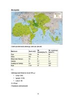 Referāts 'Reliģija un sabiedrība. Islāms', 16.