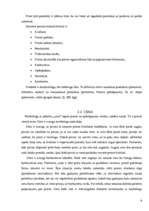 Referāts 'Viesnīcas X mārketinga miks analīze', 6.