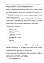 Referāts 'Viesnīcas X mārketinga miks analīze', 7.