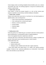 Referāts 'Viesnīcas X mārketinga miks analīze', 8.