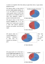 Referāts 'Viesnīcas X mārketinga miks analīze', 15.
