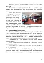 Referāts 'Viesnīcas X mārketinga miks analīze', 19.