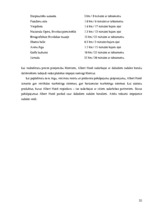 Referāts 'Viesnīcas X mārketinga miks analīze', 22.