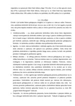 Referāts 'Viesnīcas X mārketinga miks analīze', 26.