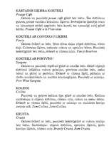 Referāts 'Kokteiļgalds', 16.